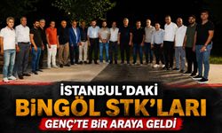 İstanbul’daki Bingöl STK’ları Genç’te Bir Araya Geldi