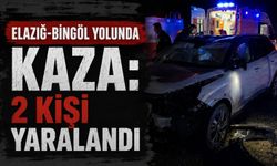 Elazığ-Bingöl Yolunda Kaza: 2 Kişi Yaralandı
