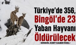 Türkiye’de 356, Bingöl’de 23 Yaban Hayvanı Öldürülecek