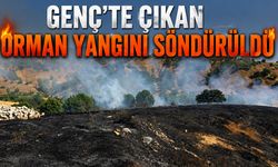 Genç’te Çıkan Orman Yangını Söndürüldü