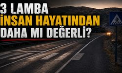 Bingöl’de Karayolunda Aydınlatması Olmayan Yaya Geçidi, Kazalara Davetiye Çıkarıyor!