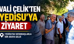Vali Çelik'ten Yedisu'ya Ziyaret