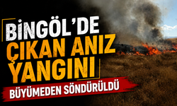 Bingöl’de Çıkan Anız Yangını Büyümeden Söndürüldü