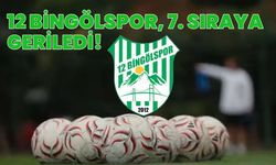 12 Bingölspor, 7. Sıraya Geriledi!