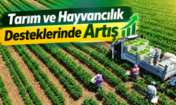Tarım ve Hayvancılık Desteklerinde Artış