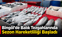 Bingöl’de Balık Tezgahlarında Sezon Hareketliliği Başladı