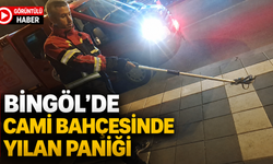 Bingöl’de Cami Bahçesinde Yılan Paniği