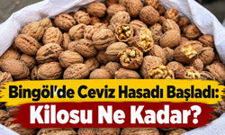 Bingöl’de Ceviz Hasadı Başladı: Kilosu Ne Kadar?