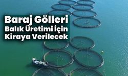 Baraj Gölleri Balık Üretimi İçin Kiraya Verilecek