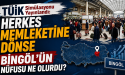 TÜİK Simülasyonu Yayınlandı: Herkes Memleketine Dönse Bingöl’ün Nüfusu Ne Olurdu?