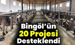 Bingöl’ün 20 Projesi Desteklendi