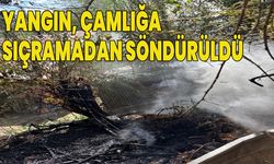 Genç’te Korkutan Yangın!