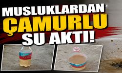 Saray ve Kültür Mahallelerinde Sular Çamurlu Aktı!