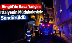 Bingöl’de Baca Yangını İtfaiyenin Müdahalesiyle Söndürüldü