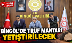 Bingöl’de Trüf Mantarı Yetiştirilecek
