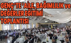 Bingöl'ün İlçesinde 'Aile, Bağımlılık ve Değerler Eğitimi Toplantısı'