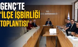 Genç’te ‘İlçe İşbirliği Toplantısı’