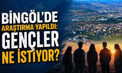 Bingöl’de Araştırma Yapıldı: Gençler Ne İstiyor?