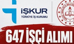 Bingöl'de 647 İşçi Alımında Başvuru için Son Gün!