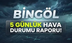 Bingöl 5 Günlük Hava Durumu Tahmini!