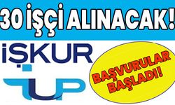 Bingöl’de 30 İşçi Alınacak!