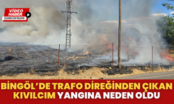 Bingöl’de Trafo Direğinden Çıkan Kıvılcım Yangına Neden Oldu