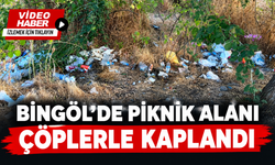 Bingöl’de Piknik Alanı Çöplerle Kaplandı