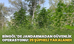Bingöl’de Jandarmadan Güvenlik Operasyonu: 29 Şüpheli Yakalandı