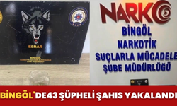Bingöl'de 43 Şüpheli Şahıs Yakalandı
