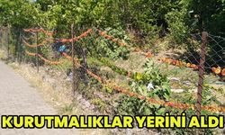 Bingöl'de Kurutmalık Sebzeler Renkli Görüntüler Oluşturuyor