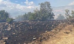 Karakoçan'da Orman Yangını: Ekiplerin Müdahalesiyle Söndürüldü