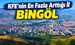 KFE’nin En Fazla Arttığı İl Bingöl