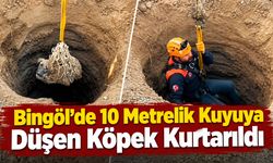 Bingöl’de 10 Metrelik Kuyuya Düşen Köpek Kurtarıldı