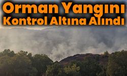 Bingöl'de Çıkan Orman Yangını Kontrol Altına Alındı