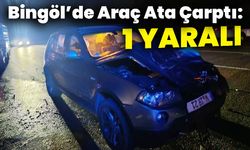 Bingöl’de Araç Ata Çarptı: 1 Yaralı