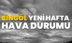 Bingöl’de Hafta İçi Hava Durumu Nasıl Olacak?