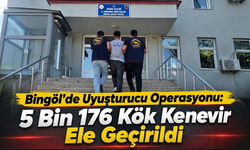 Bingöl’de Uyuşturucu Operasyonu: 5 Bin 176 Kök Kenevir Ele Geçirildi