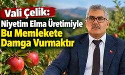 Vali Çelik: Niyetim Elma Üretimiyle Bu Memlekete Damga Vurmaktır