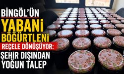 Bingöl’ün Yabani Böğürtleni Reçele Dönüşüyor: Şehir Dışından Yoğun Talep