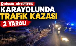 Bingöl-Diyarbakır Karayolunda Trafik Kazası: 2 Yaralı