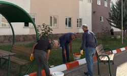 Bingöl'deki Öğrenci Yurtlarında Düzenleme Çalışmaları