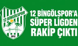 12 Bingölspor'a Süper Lig'den Rakip Çıktı