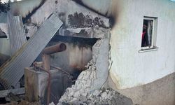 Varto'da Yangın: 5 Büyükbaş Hayvan Telef Oldu