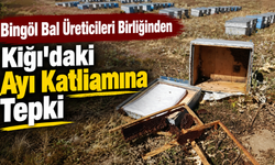 Bingöl Bal Üreticileri Birliğinden Kiğı’daki Ayı Katliamına Tepki
