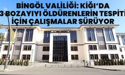 Bingöl Valiliği: 3 Boz Ayıyı Öldürenlerin Tespiti için Çalışmalar Kararlılıkla Sürüdürülüyor