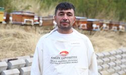 Arıcılar, Sonbaharda Eşek Arılarıyla Mücadele Ediyor