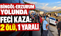 Bingöl-Erzurum Yolunda Feci Kaza: 2 Ölü, 1 Yaralı