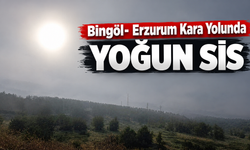Bingöl- Erzurum Kara Yolunda Yoğun Sis