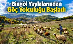 Bingöl Yaylalarından Göç Yolculuğu Başladı