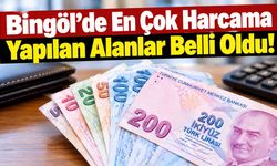 Bingöl’de En Çok Harcama Yapılan Alanlar Belli Oldu!